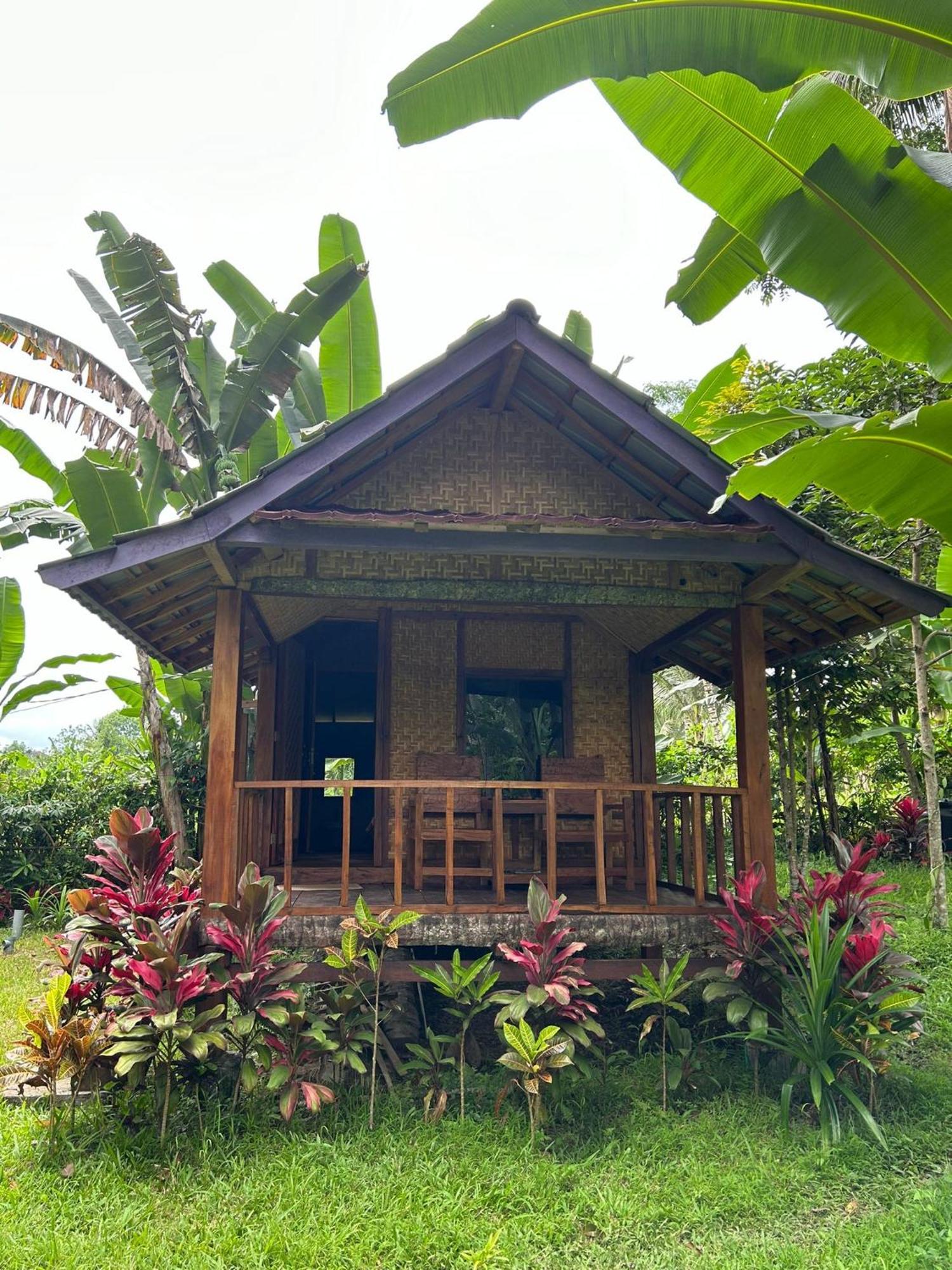 Banana Bungalows Tetebatu Cameră foto