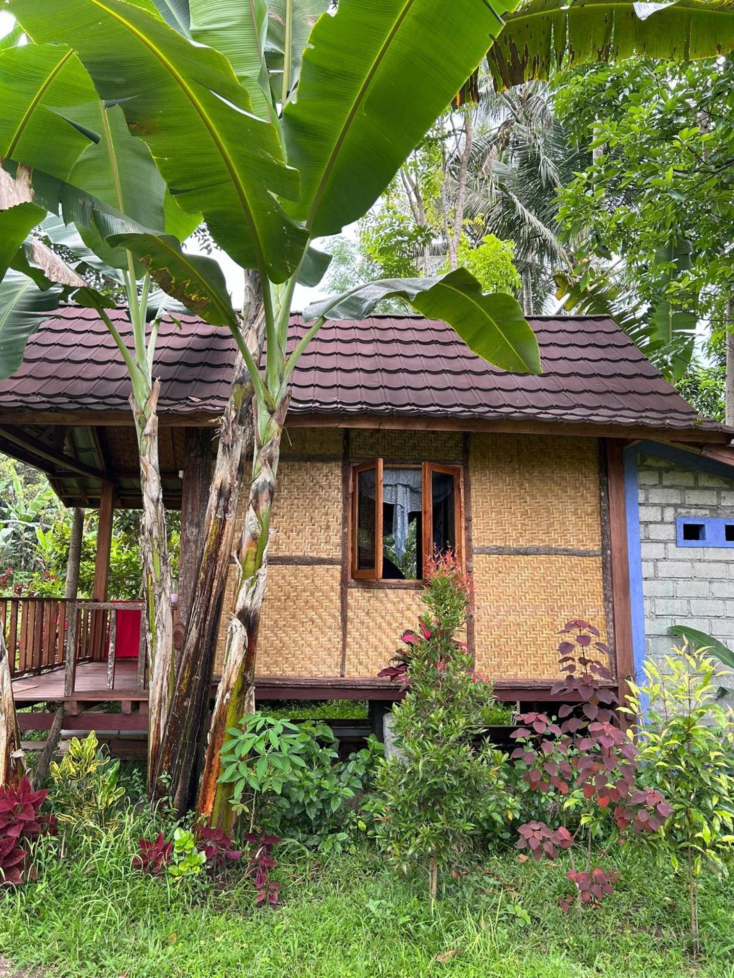 Banana Bungalows Tetebatu Cameră foto